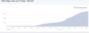 One Year Facebook Audience Growth